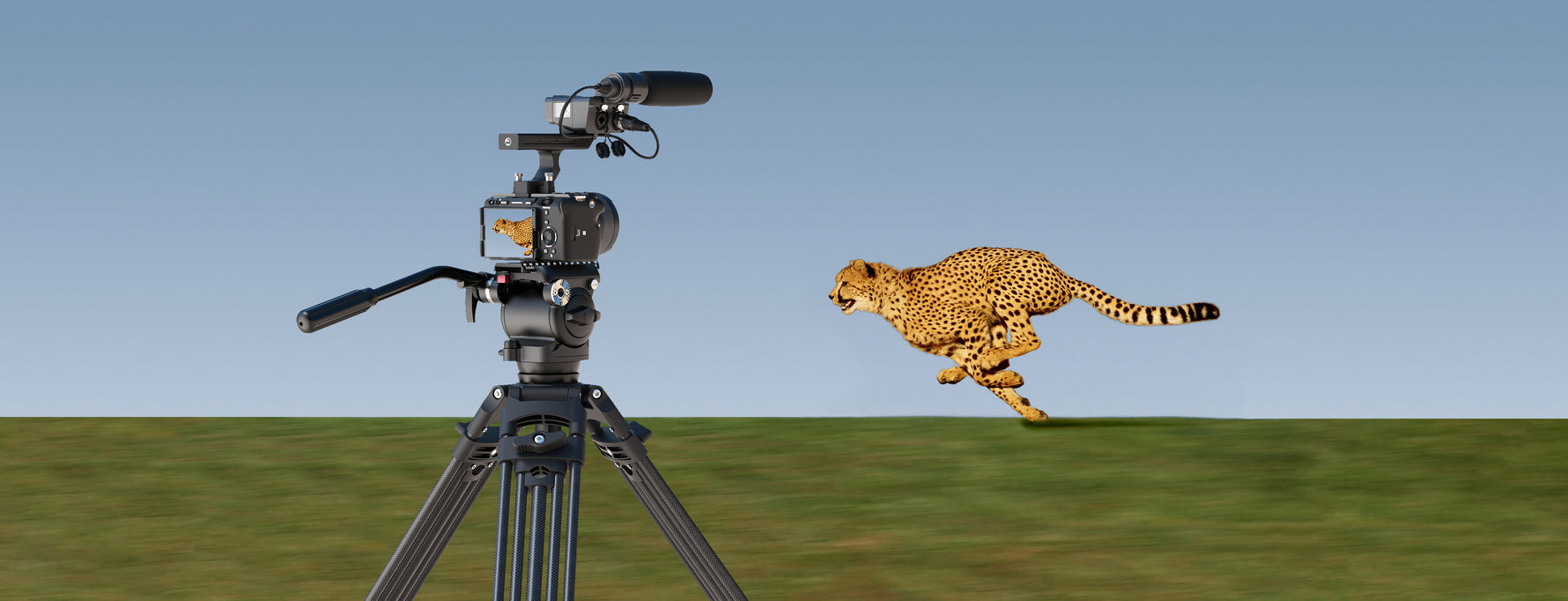 F5 Fluid Head scgpro