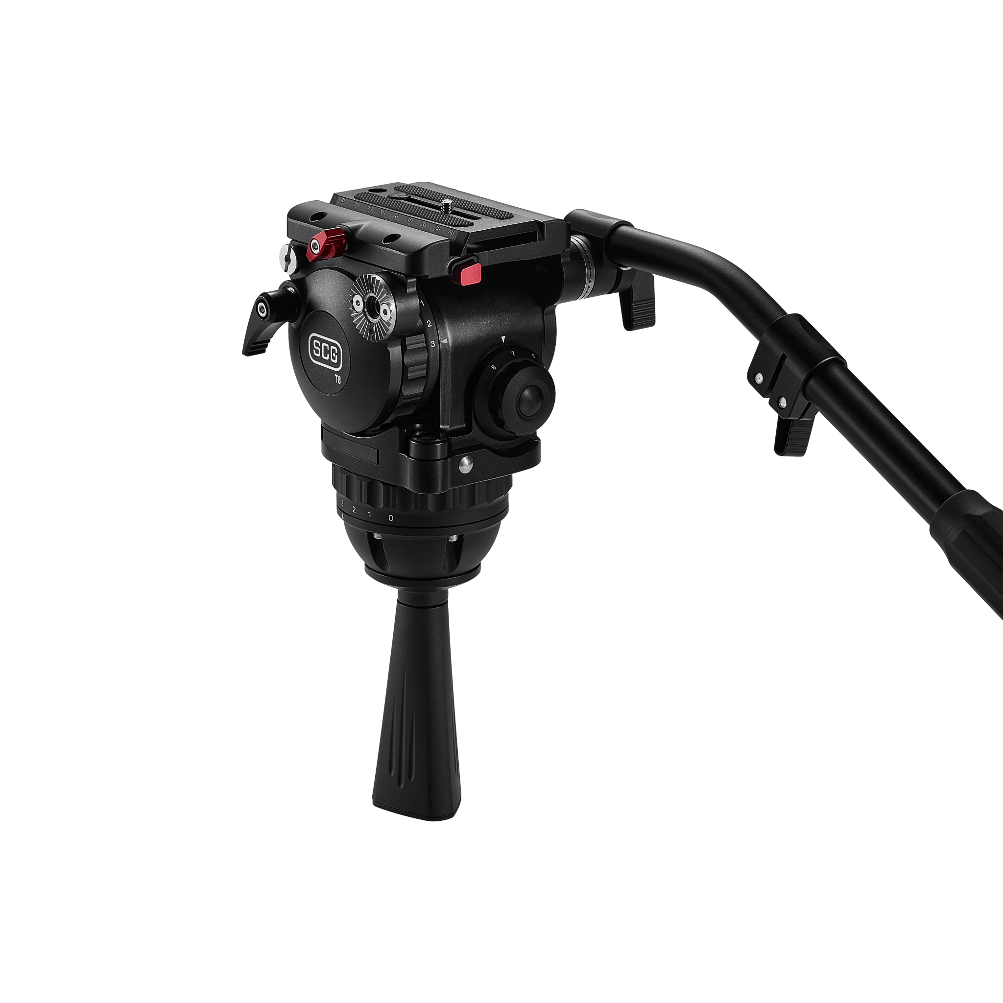 The Unexpected Truth About Scg And Concept Identification - zqtbu9e